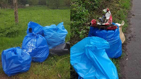 Community Litter Collection