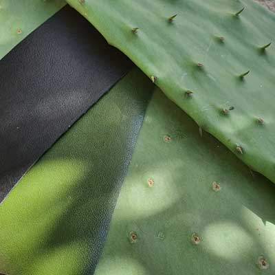 Innovative Vegan Cactus Leather | Watson & Wolfe